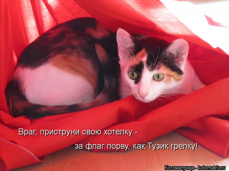 Враг, приструни свою хотелку - за флаг порву, как Тузик грелку!... Котоматрица: Враг, приструни свою хотелку - за флаг порву, как Тузик грелку!