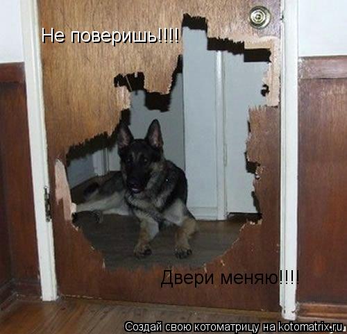 Не поверишь!!!! Двери меняю!!!!... Котоматрица: Не поверишь!!!! Двери меняю!!!!