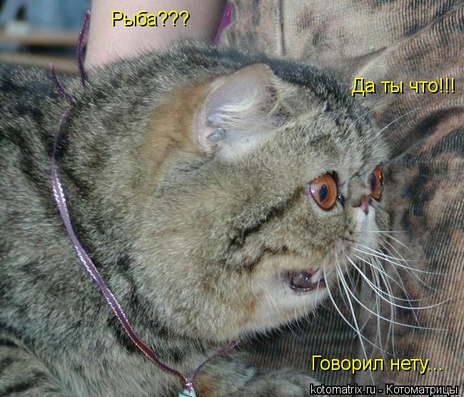 Котоматрица: Рыба??? Да ты что!!! Говорил нету...