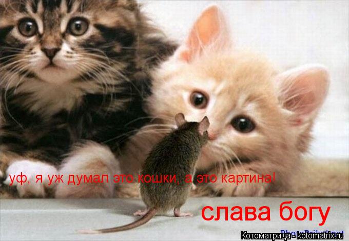 Котоматрица: уф, я уж думал это кошки, а это картина! слава богу