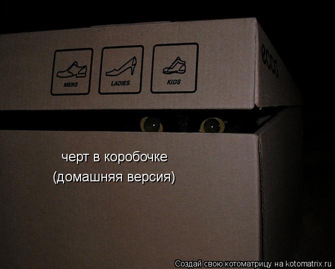черт в коробочке (домашняя версия)... Котоматрица: черт в коробочке (домашняя версия)
