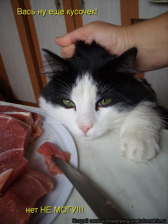 Котоматрица: Вась ну еще кусочек! нет НЕ МОГУ!!!