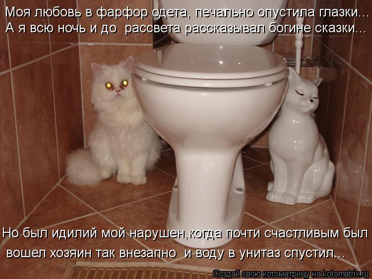 Моя любовь в фарфор одета, печально опустила глазки... А я всю ночь и до рассвета рассказывал богине... Котоматрица: Моя любовь в фарфор одета, печально опустила глазки... А я всю ночь и до рассвета рассказывал богине сказки... Но был идилий мой нарушен,когда
