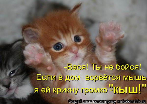 -Вася! Ты не бойся! Если в дом ворвётся мышь я ей крикну громко - "кыш!"... Котоматрица: -Вася! Ты не бойся! Если в дом ворвётся мышь я ей крикну громко - "кыш!"