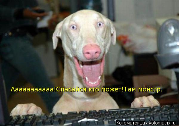 Ааааааааааа!Спасайся кто может!Там монстр.... Котоматрица: Ааааааааааа!Спасайся кто может!Там монстр.