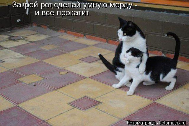 Котоматрица: Закрой рот,сделай умную морду -  и все прокатит.