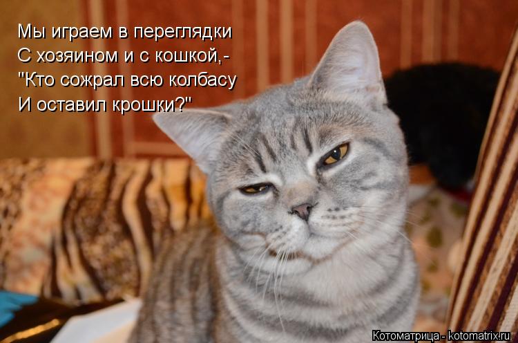 Мы играем в переглядки С хозяином и с кошкой,- "Кто сожрал всю колбасу И оставил крошки?"... Котоматрица: Мы играем в переглядки С хозяином и с кошкой,- "Кто сожрал всю колбасу И оставил крошки?"