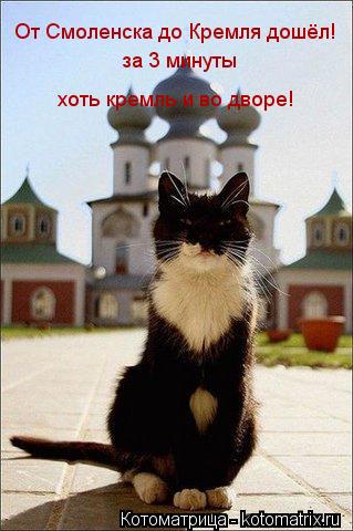 Котоматрица: От Смоленска до Кремля дошёл! хоть кремль и во дворе! за 3 минуты