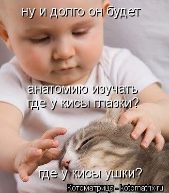 Котоматрица: ну и долго он будет  где у кисы ушки? где у кисы глазки? анатомию изучать