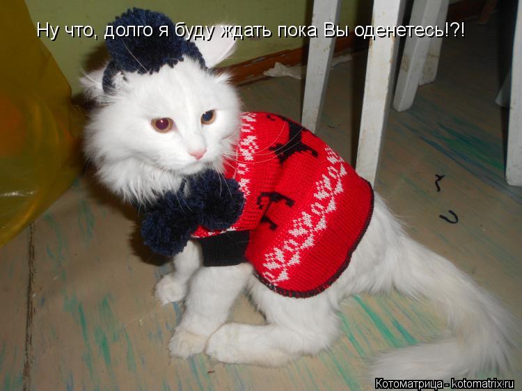 Ну что, долго я буду ждать пока Вы оденетесь!?!... Котоматрица: Ну что, долго я буду ждать пока Вы оденетесь!?!