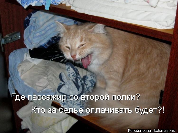 Котоматрица: Где пассажир со второй полки? Кто за белье оплачивать будет?!