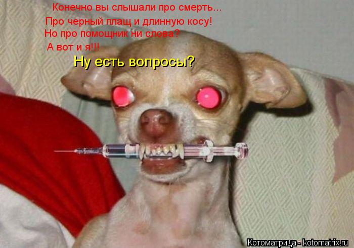 Конечно вы слышали про смерть... Про черный плащ и длинную косу! Но про помощник ни слова? А вот и я!... Котоматрица: Конечно вы слышали про смерть... Про черный плащ и длинную косу! Но про помощник ни слова? А вот и я!!! Ну есть вопросы?