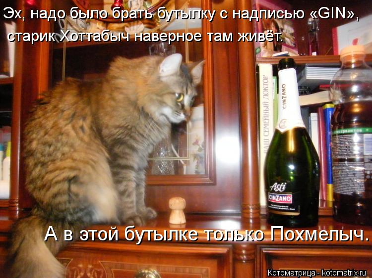 Эх, надо было брать бутылку с надписью «GIN», старик Хоттабыч наверное там живёт. А в этой бутылке то... Котоматрица: Эх, надо было брать бутылку с надписью «GIN», старик Хоттабыч наверное там живёт. А в этой бутылке только Похмелыч.