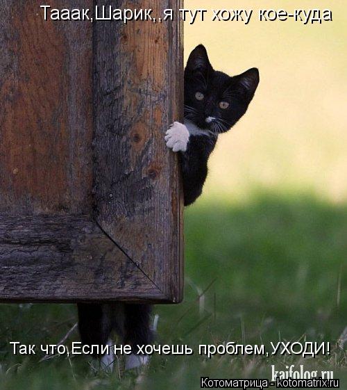 Тааак,Шарик,,я тут хожу кое-куда Так что,Если не хочешь проблем,УХОДИ!... Котоматрица: Тааак,Шарик,,я тут хожу кое-куда Так что,Если не хочешь проблем,УХОДИ!
