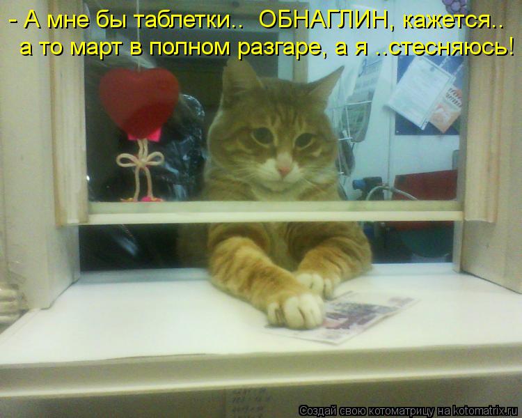 - А мне бы таблетки.. ОБНАГЛИН, кажется.. а то март в полном разгаре, а я ..стесняюсь!... Котоматрица: - А мне бы таблетки.. ОБНАГЛИН, кажется.. а то март в полном разгаре, а я ..стесняюсь!
