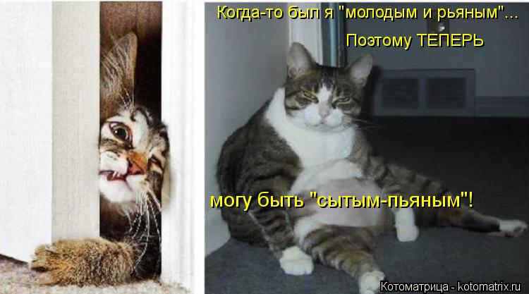 Котоматрица: Когда-то был я "молодым и рьяным"... Поэтому ТЕПЕРЬ могу быть "сытым-пьяным"!