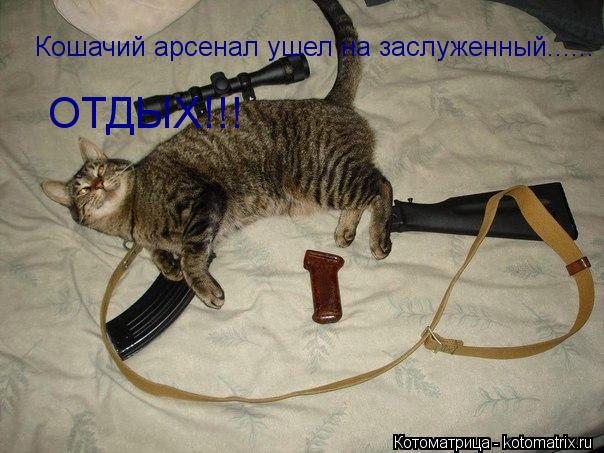 Кошачий арсенал ушел на заслуженный...... ОТДЫХ!!!... Котоматрица: Кошачий арсенал ушел на заслуженный...... ОТДЫХ!!!