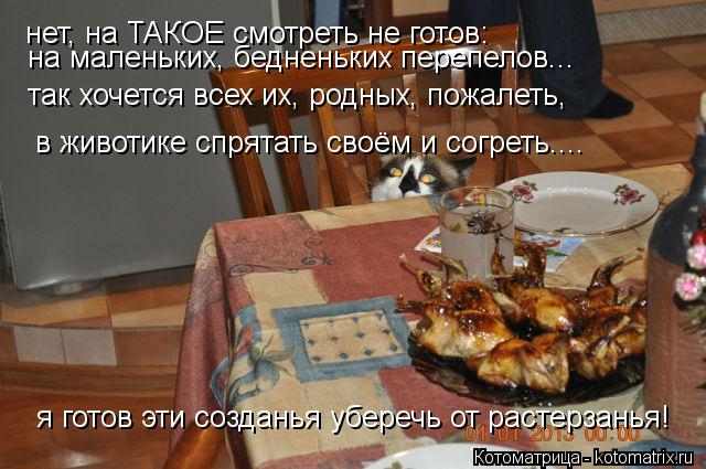 нет, на ТАКОЕ смотреть не готов: на маленьких, бедненьких перепелов... так хочется всех их, родных, п... Котоматрица: нет, на ТАКОЕ смотреть не готов: на маленьких, бедненьких перепелов... так хочется всех их, родных, пожалеть, в животике спрятать своём и согр