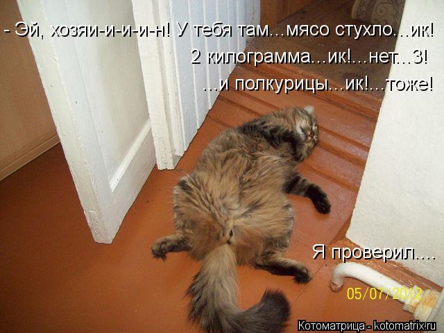Котоматрица: - Эй, хозяи-и-и-и-н! У тебя там...мясо стухло...ик! 2 килограмма...ик!...нет...3!  ...и полкурицы...ик!...тоже! Я проверил....