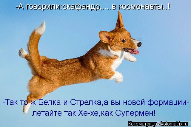 -А говорили:скафандр,....в космонавты..! -Так то ж Белка и Стрелка,а вы новой формации- летайте так!... Котоматрица: -А говорили:скафандр,....в космонавты..! -Так то ж Белка и Стрелка,а вы новой формации- летайте так!Хе-хе,как Супермен!