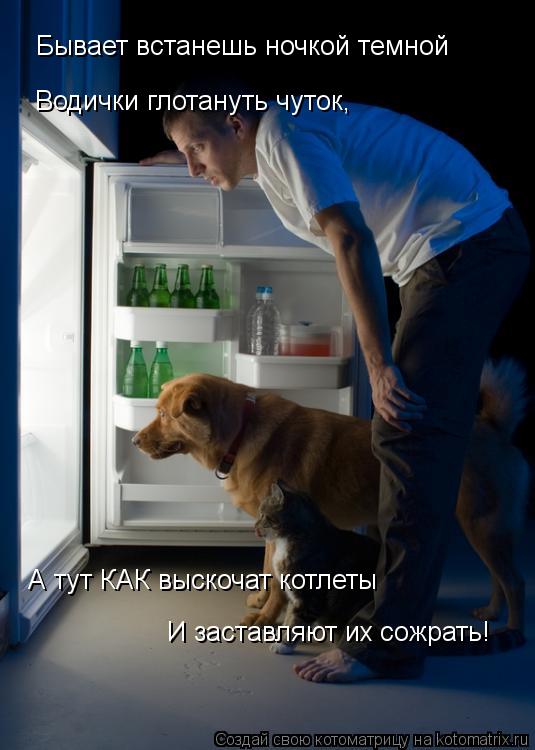 Бывает встанешь ночкой темной Водички глотануть чуток, А тут КАК выскочат котлеты И заставляют их сож... Котоматрица: Бывает встанешь ночкой темной Водички глотануть чуток, А тут КАК выскочат котлеты И заставляют их сожрать!
