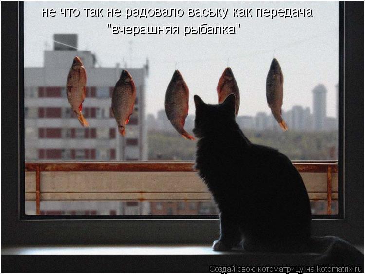 не что так не радовало ваську как передача "вчерашняя рыбалка"... Котоматрица: не что так не радовало ваську как передача "вчерашняя рыбалка"