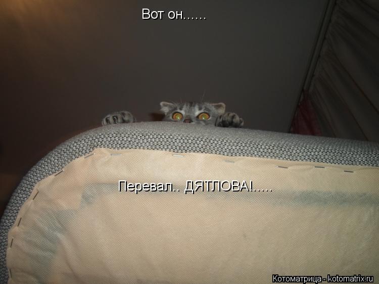 Вот он...... Перевал.. ДЯТЛОВА!........ Котоматрица: Вот он...... Перевал.. ДЯТЛОВА!.....