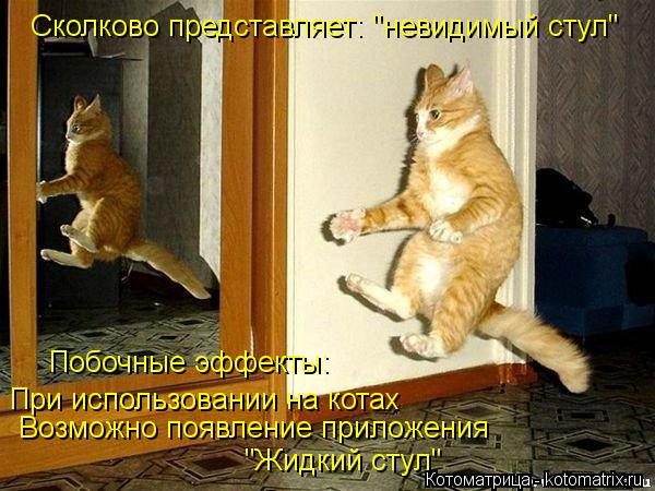Побочные эффекты: При использовании на котах Возможно появление приложения Сколково представляет: "н... Котоматрица: Побочные эффекты: При использовании на котах Возможно появление приложения Сколково представляет: "невидимый стул" "Жидкий стул"