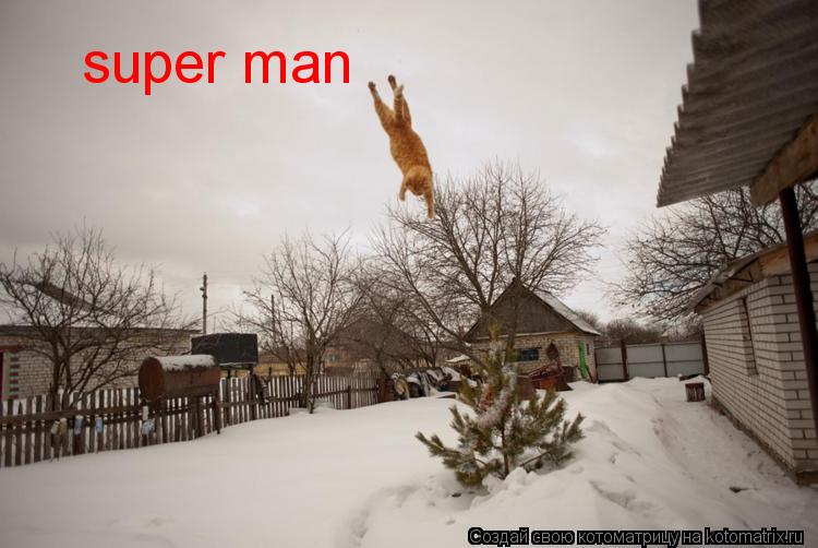 super man... Котоматрица: super man