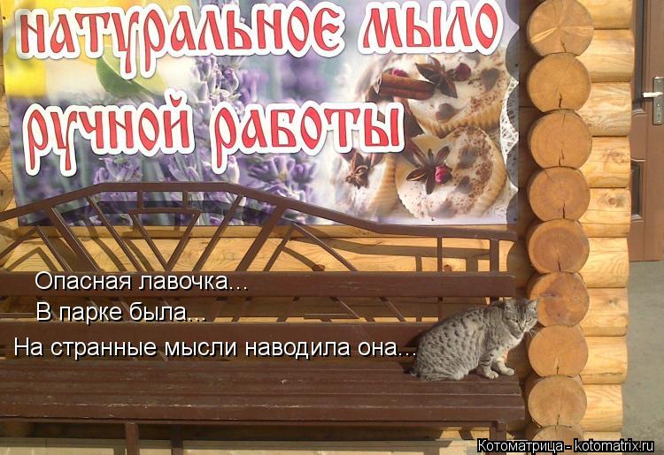 Опасная лавочка... В парке была... На странные мысли наводила она...... Котоматрица: Опасная лавочка... В парке была... На странные мысли наводила она...