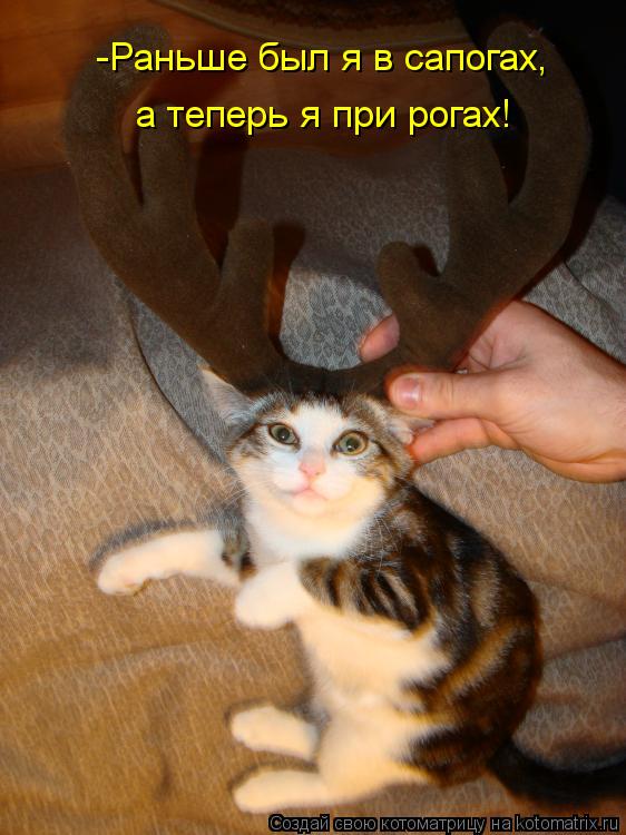 Котоматрица: -Раньше был я в сапогах, а теперь я при рогах!