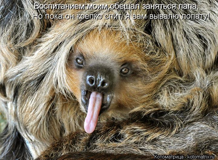 Воспитанием моим,обещал заняться папа. Воспитанием моим,обещал заняться папа, Но пока он крепко спит,... Котоматрица: Воспитанием моим,обещал заняться папа. Воспитанием моим,обещал заняться папа, Но пока он крепко спит, я вам вывалю лопату!