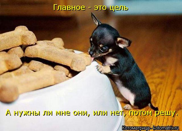 Котоматрица: А нужны ли мне они, или нет, потом решу. Главное - это цель