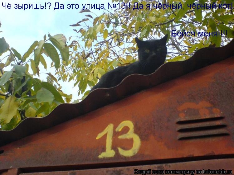 Котоматрица: Чё зыришь!? Да это улица №13!! Да я чёрный, чёрный кот! Бойся меня!!!!
