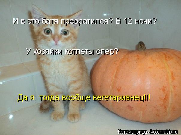 И в это батя превратился? В 12 ночи? У хозяйки котлеты спер? Да я тогда вообще вегетарианец!!!... Котоматрица: И в это батя превратился? В 12 ночи? У хозяйки котлеты спер? Да я тогда вообще вегетарианец!!!