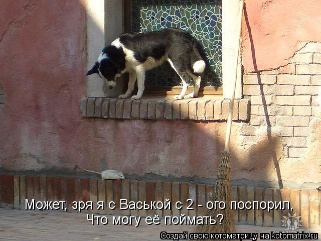 Может, зря я с Васькой с 2 - ого поспорил, Что могу её поймать?... Котоматрица: Может, зря я с Васькой с 2 - ого поспорил, Что могу её поймать?