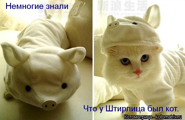 Котоматрица: Немногие знали Что у Штирлица был кот.