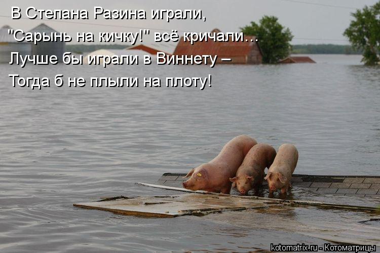 Котоматрица: В Степана Разина играли, "Сарынь на кичку!" всё кричали… Лучше бы играли в Виннету – Тогда б не плыли на плоту!