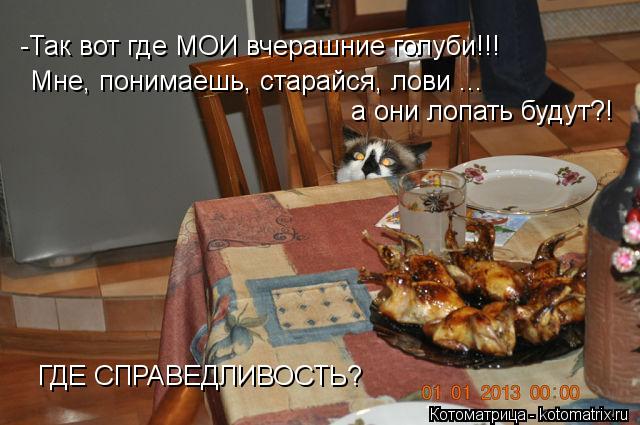 Котоматрица: -Так вот где МОИ вчерашние голуби!!! Мне, понимаешь, старайся, лови ... а они лопать будут?! ГДЕ СПРАВЕДЛИВОСТЬ?