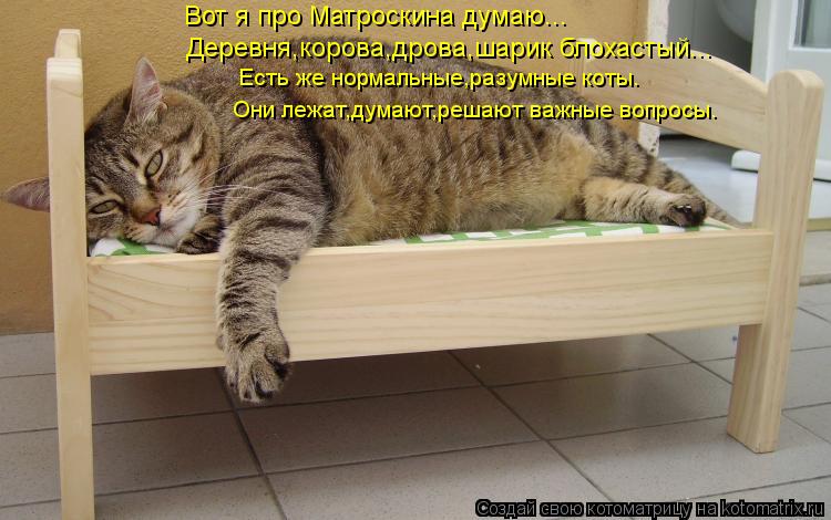 Вот я про Матроскина думаю... Деревня,корова,дрова,шарик блохастый... Есть же нормальные,разумные кот... Котоматрица: Вот я про Матроскина думаю... Деревня,корова,дрова,шарик блохастый... Есть же нормальные,разумные коты. Они лежат,думают,решают важные вопрос