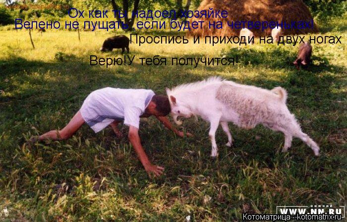 Ох как ты надоел хозяйке Велено не пущать ,если будет на четвереньках! Проспись и приходи на двух ног... Котоматрица: Ох как ты надоел хозяйке Велено не пущать ,если будет на четвереньках! Проспись и приходи на двух ногах Верю!У тебя получится!