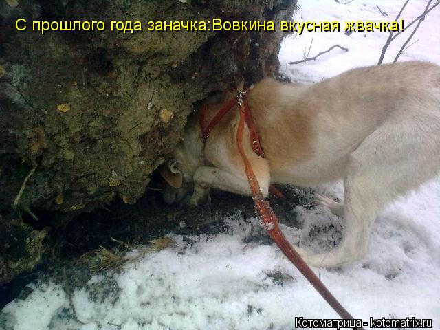 С прошлого года заначка:Вовкина вкусная жвачка!... Котоматрица: С прошлого года заначка:Вовкина вкусная жвачка!
