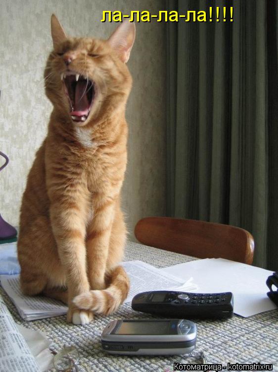 ла-ла-ла-ла!!!!... Котоматрица: ла-ла-ла-ла!!!!