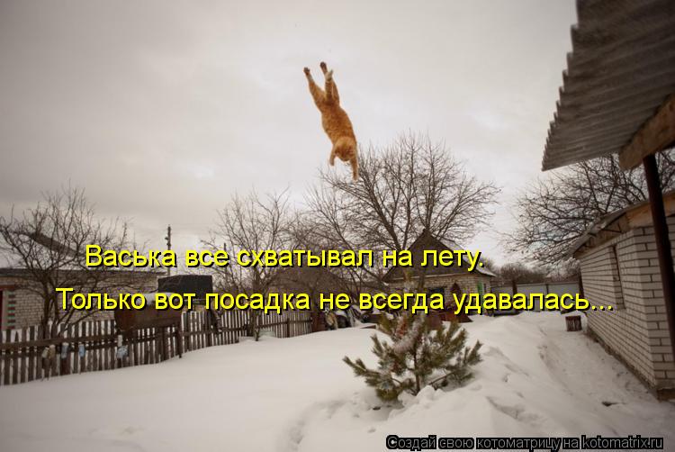 Котоматрица: Васька все схватывал на лету. Только вот посадка не всегда удавалась...
