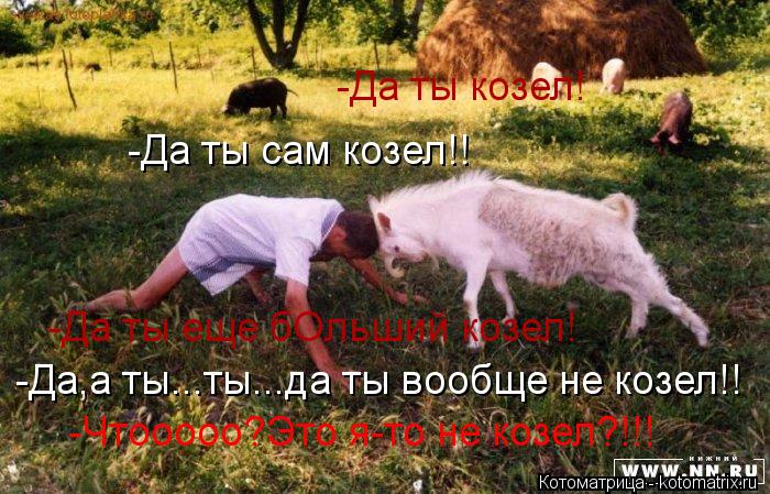 Котоматрица: -Да ты козел! -Да ты сам козел!! -Да ты еще бОльший козел! -Да,а ты...ты...да ты вообще не козел!!  -Чтооооо?Это я-то не козел?!!!