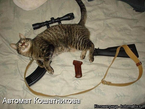 Автомат Кошатникова... Котоматрица: Автомат Кошатникова
