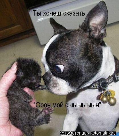 Ты хочеш сказать "Ооон мой сыыыыыын"... Котоматрица: Ты хочеш сказать "Ооон мой сыыыыыын"