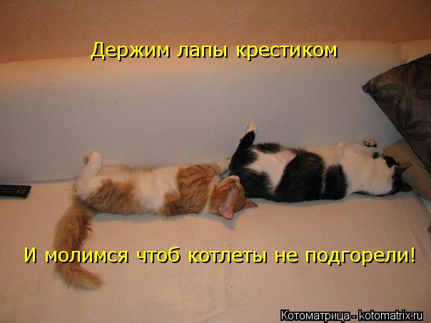 Котоматрица: Держим лапы крестиком И молимся чтоб котлеты не подгорели!