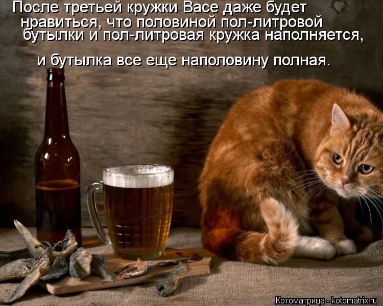 Котоматрица: После третьей кружки Васе даже будет нравиться, что половиной пол-литровой и бутылка все еще наполовину полная. бутылки и пол-литровая круж
