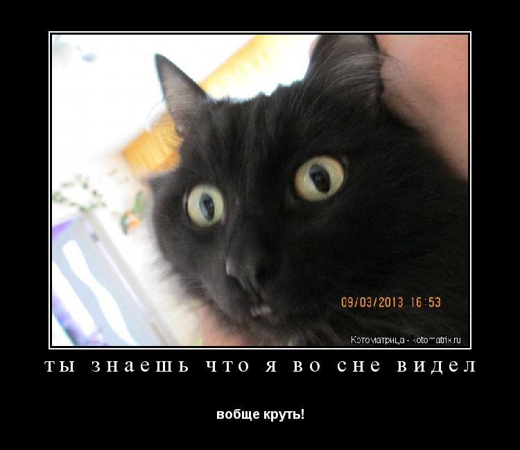 Котоматрица: ты знаешь что я во сне видел вобще круть!